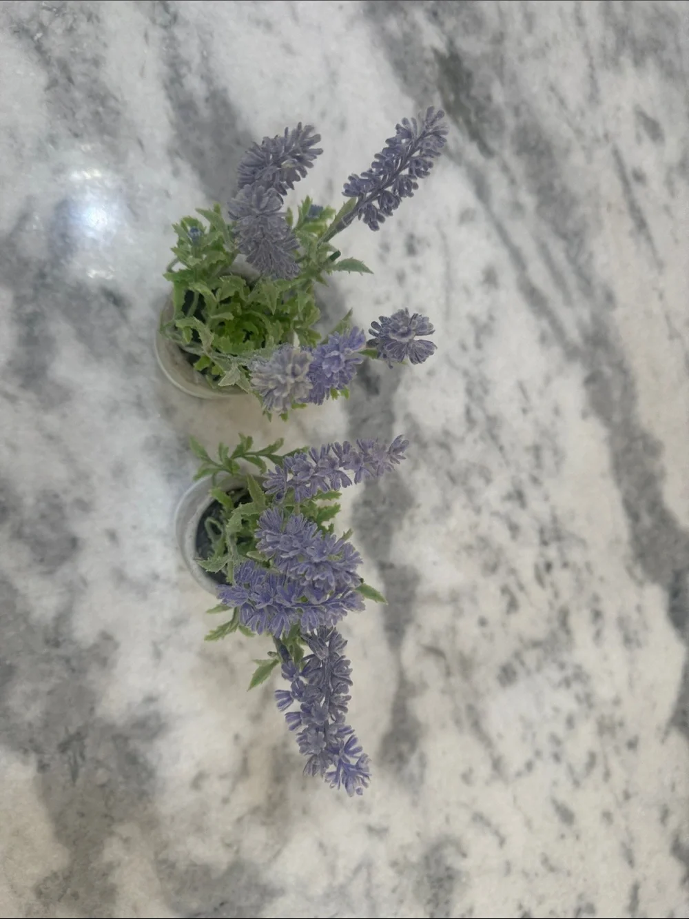 Lavender Potted Plant Set - Faux Lavender in Gray Planters